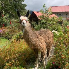 URKU ALLIPACHA Mountain Retreat w/ Organic Garden