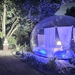 Jacuzzi•Glamping•Gym•Parking•BBQ•Soft Beds•Secure