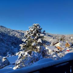 Große Ferienwohnung in ruhiger Lage mit toller Aussicht in Triberg