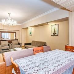 Comfortable and Spacious Apartment in the Center