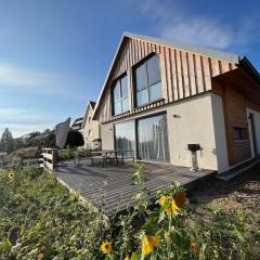 Ferienhaus Mountain View Six50 mit Sauna und Kamin in St. Andreasberg