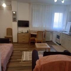 Apartment Zemun