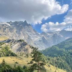 Heart of La Grave La Meije