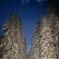 Bobbie's Cottage - Bobijeva Vikendica