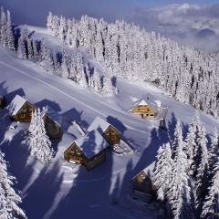 MoselebauerAlm