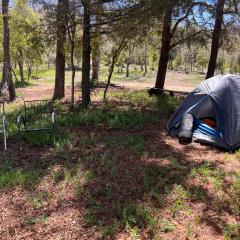 Camping don Zacarías