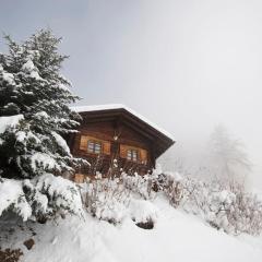 Traditional chalet in the heart of nature