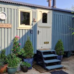 Elmdale Hut - Shepherds Hut