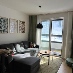 Staza Ski Apartment