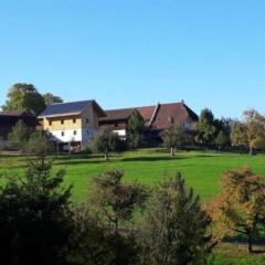 Bauernhof Bättwil - b48307