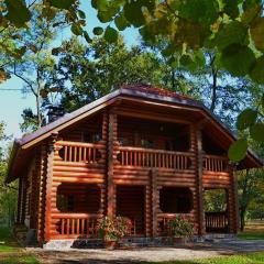 Luxury Chalet at Podlipje Estate