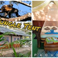 Fully Furnished FAMILY JUNGLE TENT, Latino Glamping Paquera