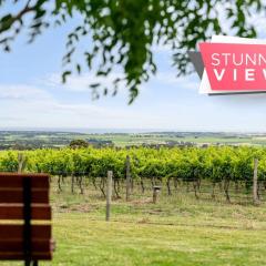 Willunga House - Fireplace Vineyard Views