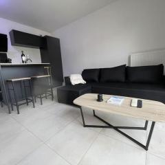 Luxury apartment near CDG