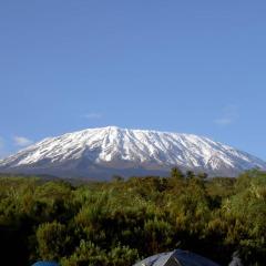 KILIMANJARO HOME OF RASON