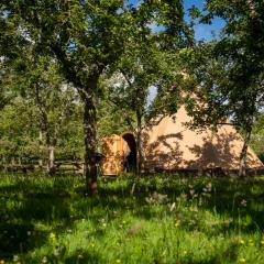 Torre Cider Farm