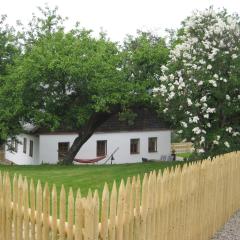 Sunny holiday home near the forest