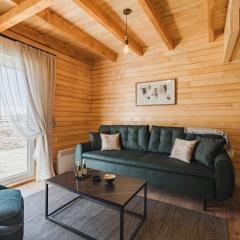 Mountain house Ivanovic