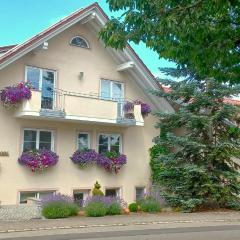 BodenSEE Apartment Tettnang HOPFENTRAUM