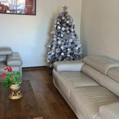Clayton Living Town House at Monash Doorstep