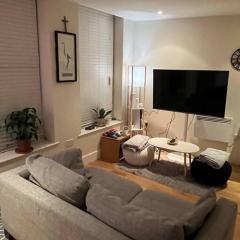 1 Bed flat in Central London