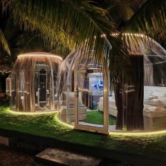 The Coco Journey - Eco Dome