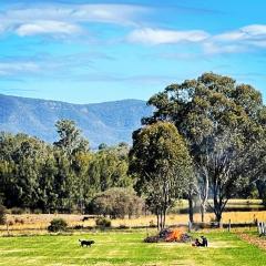 Copper Creek Retreat - sleep next door to the Lions