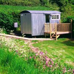 Shepherds hut with Hot Tub pet friendly