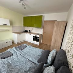 Private apartment 1km from center