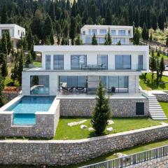 The Luxury Villa