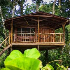 Jungle Cabins El Escondido