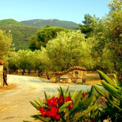 Meublés de Tourisme Casa Erbaggio