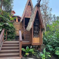 Private and Quiet Guest Apt in Hawaii Cloud Forest