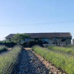 Gîte de charme chez Nel et Flo