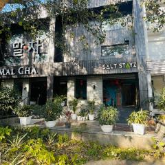 Saltstayz Malcha - Chanakyapuri