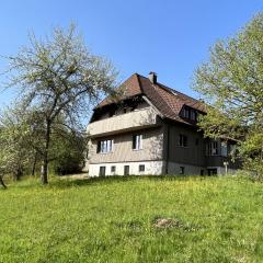 Gruppenhaus Baiersbronn LUG INS TAL