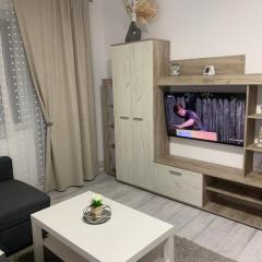 Apartament Elena