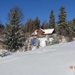 Śnieżynka