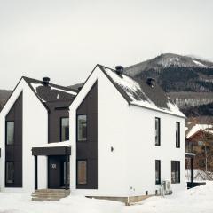 Villas Perspective-Amandine-Mont-Sainte-Anne