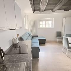 Bolzano 2-Room Central Mountain View, WiFi Netflix AC Lift