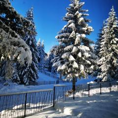 PineTree Jahorina