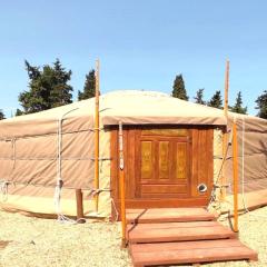 Distinctive tiny house in Sarrians with terrace