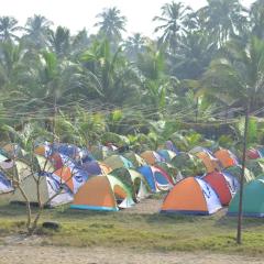 Alibag Beach Camping Ashu