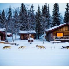 LAKESIDE AURORA CABINS