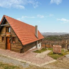 Cozy Home In Vukovoj With Wi-fi