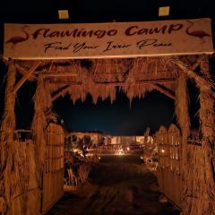 flamingo camp