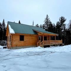 65PT New Log Cabin in Private Setting. Hot tub. Gym/Pool Access!
