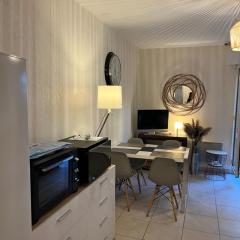 Appartement T2 avec Terrasse centre ville d’Aix en Provence
