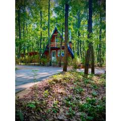 STANET Forest Houses