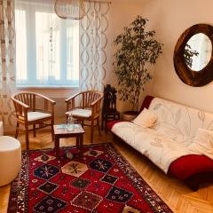 Apartman Pripotocni